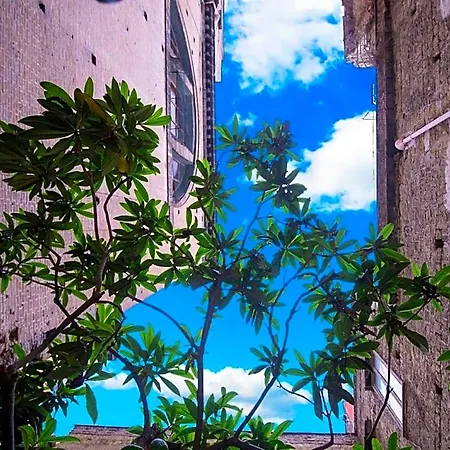 Al Centro Storico Naples