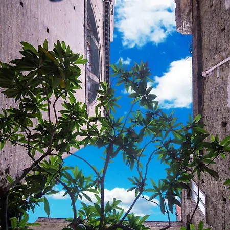 Al Centro Storico Napoli